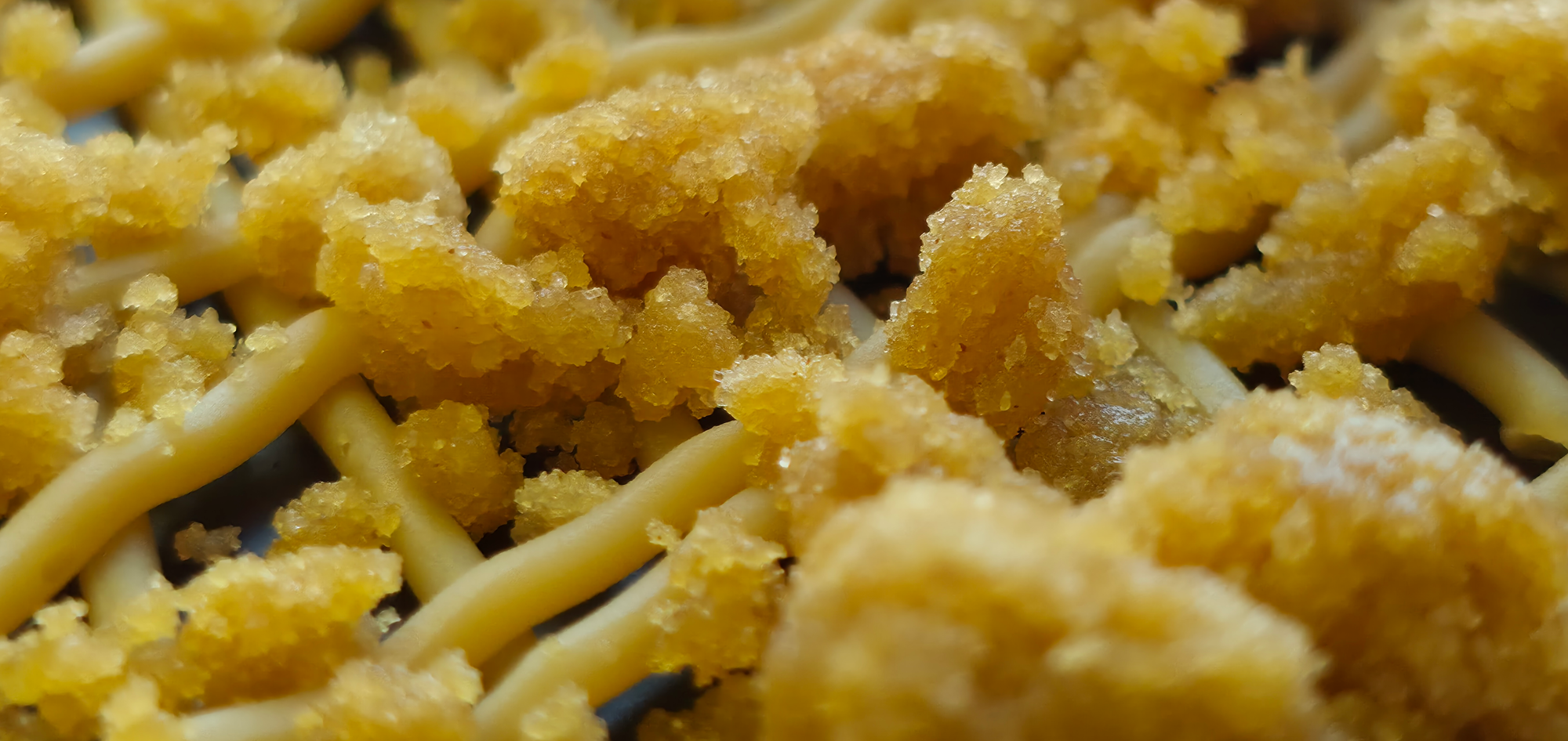 closeup.png